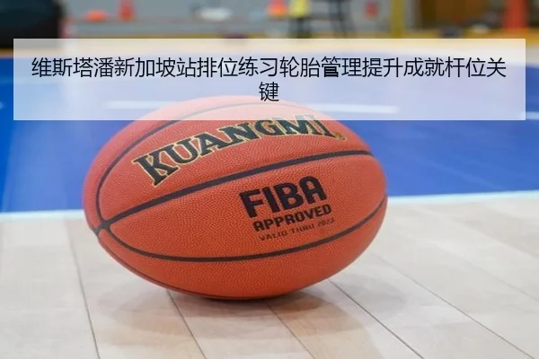 维斯塔潘新加坡站排位练习轮胎管理提升成就杆位关键